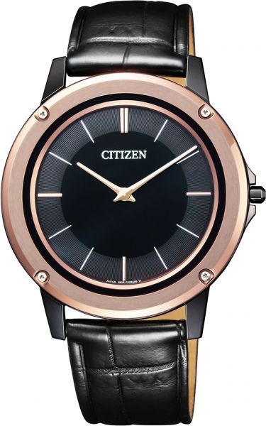 Ceas Citizen AR5025-08E