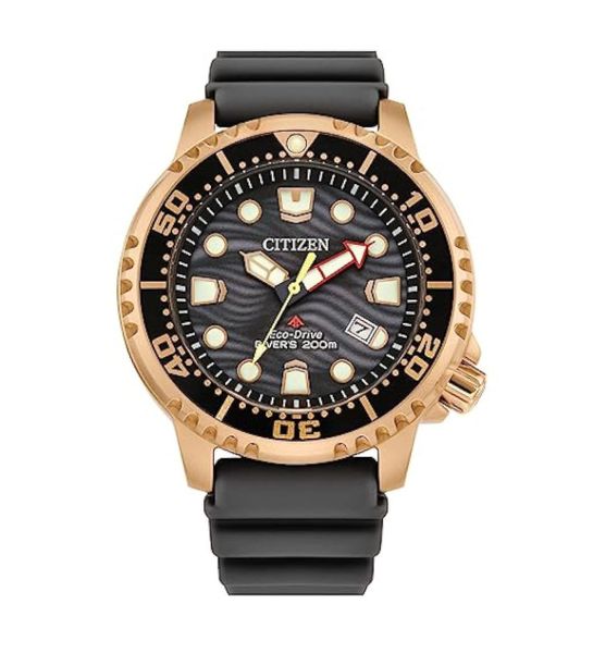 Ceas Citizen BN0163-00H