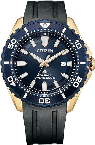 Ceas Citizen BN0196-01L